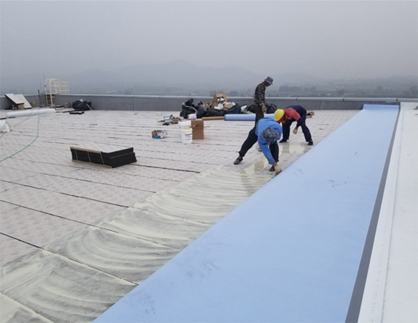 富豪花園 富豪花園